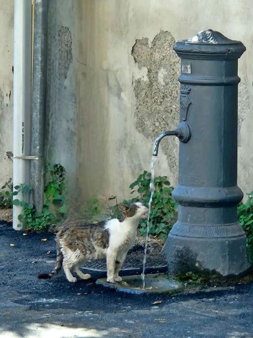 Appartamento La Finestra Sul Nasone Roma